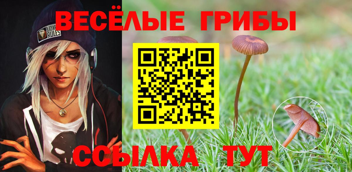 Пугачёв  Псилоцибиновые грибы мицелий  Псилоцибиновые грибы GOLDEN TEACHER  где купить   Вход с VPN 